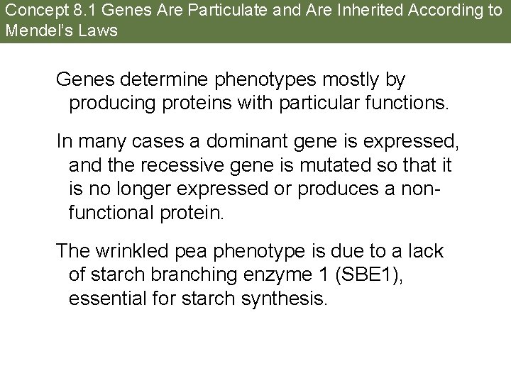 Concept 8. 1 Genes Are Particulate and Are Inherited According to Mendel’s Laws Genes