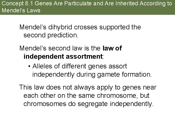 Concept 8. 1 Genes Are Particulate and Are Inherited According to Mendel’s Laws Mendel’s