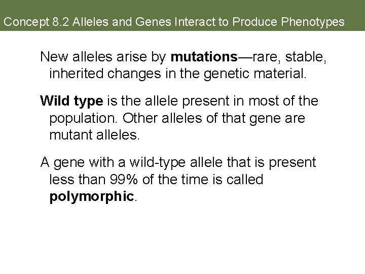 Concept 8. 2 Alleles and Genes Interact to Produce Phenotypes New alleles arise by