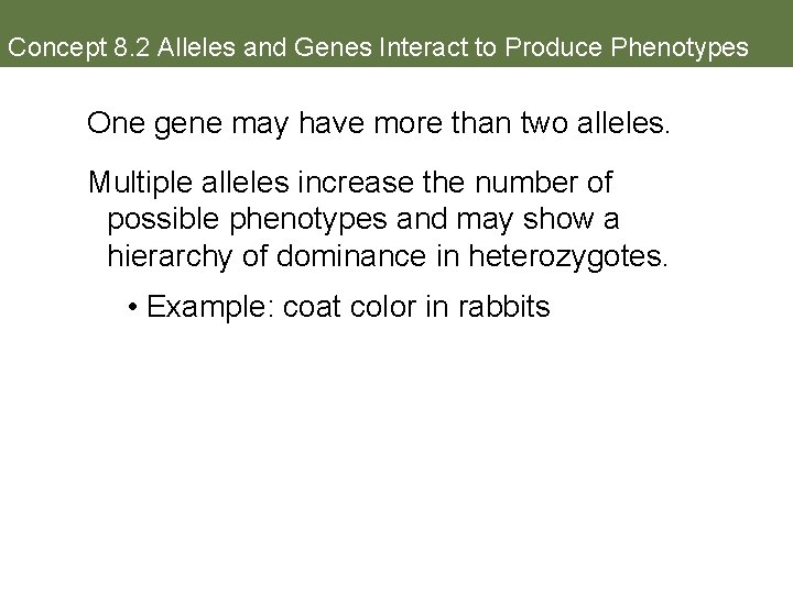 Concept 8. 2 Alleles and Genes Interact to Produce Phenotypes One gene may have