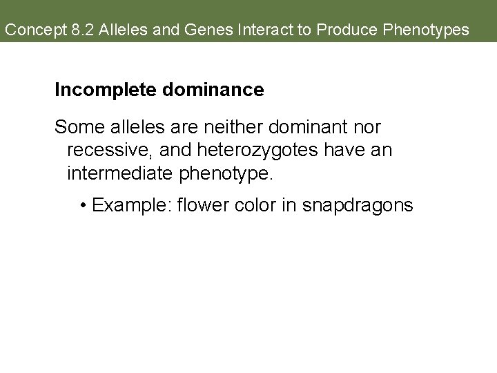 Concept 8. 2 Alleles and Genes Interact to Produce Phenotypes Incomplete dominance Some alleles