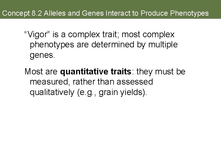 Concept 8. 2 Alleles and Genes Interact to Produce Phenotypes “Vigor” is a complex