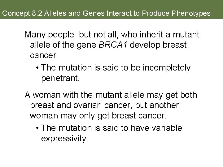 Concept 8. 2 Alleles and Genes Interact to Produce Phenotypes Many people, but not