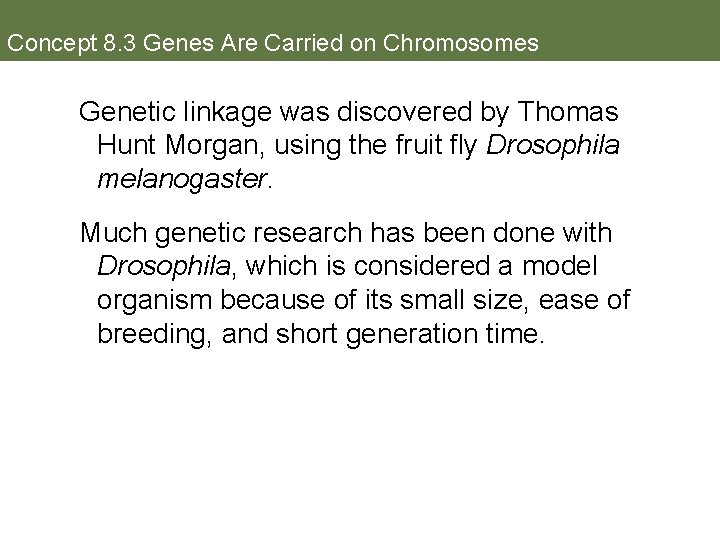 Concept 8. 3 Genes Are Carried on Chromosomes Genetic linkage was discovered by Thomas