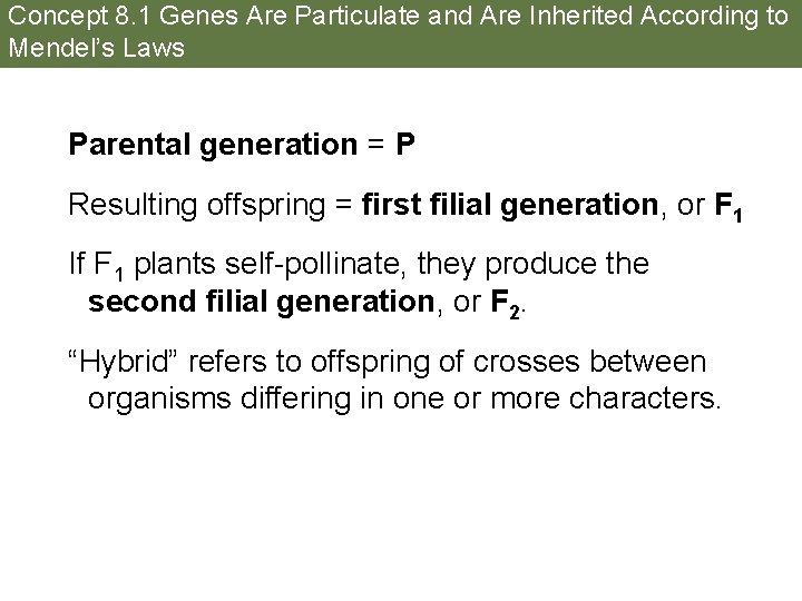 Concept 8. 1 Genes Are Particulate and Are Inherited According to Mendel’s Laws Parental