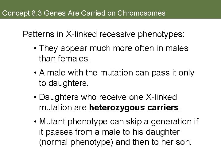 Concept 8. 3 Genes Are Carried on Chromosomes Patterns in X-linked recessive phenotypes: •