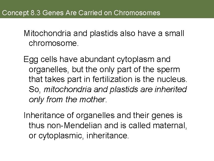 Concept 8. 3 Genes Are Carried on Chromosomes Mitochondria and plastids also have a