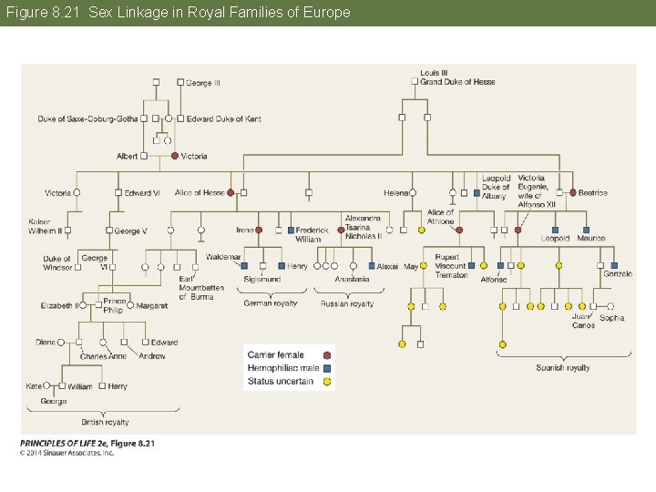 Figure 8. 21 Sex Linkage in Royal Families of Europe 