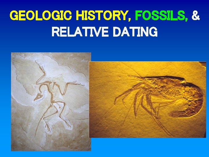 GEOLOGIC HISTORY, FOSSILS, & RELATIVE DATING 