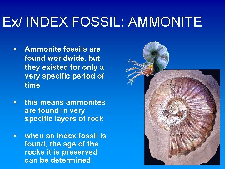 Ex/ INDEX FOSSIL: AMMONITE § Ammonite fossils are found worldwide, but they existed for