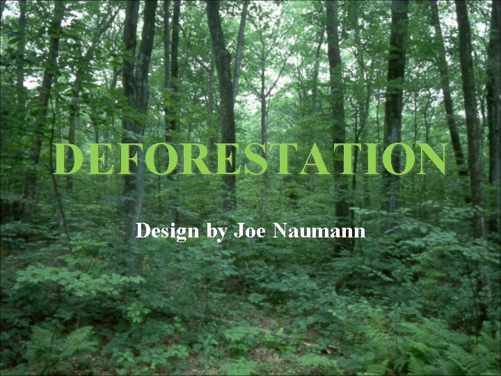 DEFORESTATION Design by Joe Naumann 