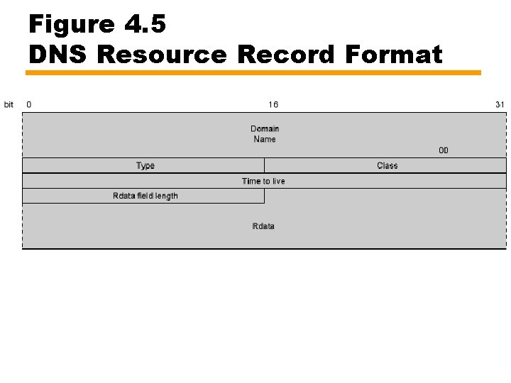 Figure 4. 5 DNS Resource Record Format 