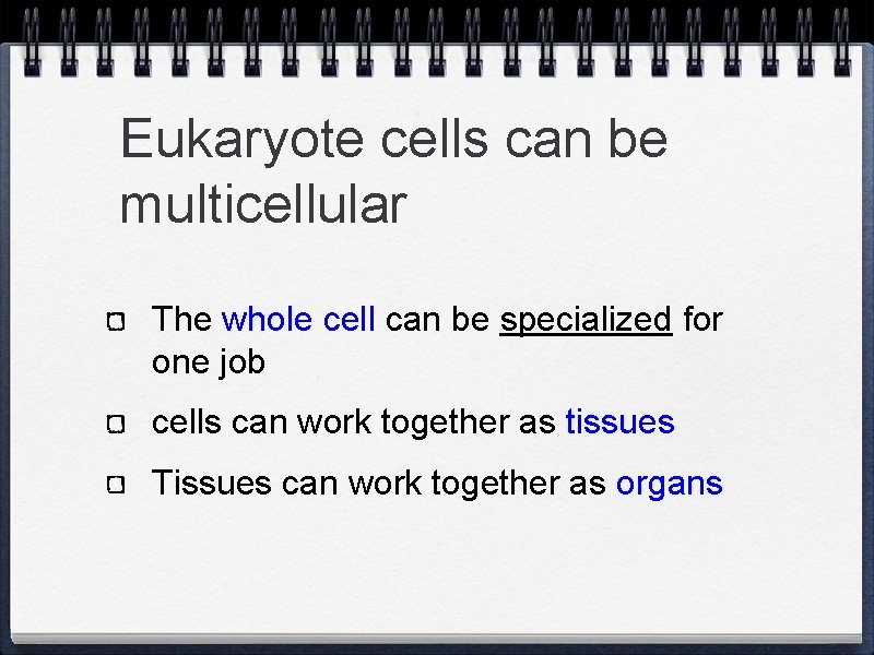 Eukaryote cells can be multicellular The whole cell can be specialized for one job