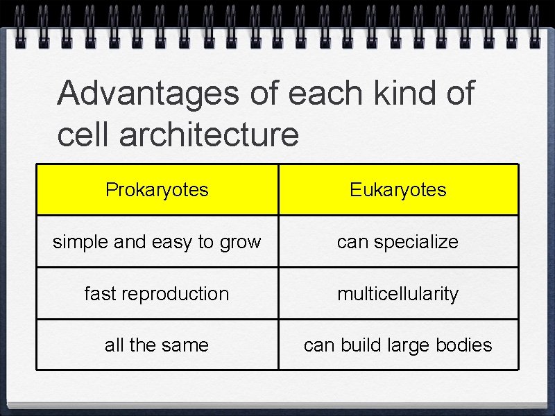Advantages of each kind of cell architecture Prokaryotes Eukaryotes simple and easy to grow
