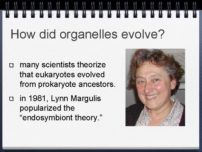 How did organelles evolve? many scientists theorize that eukaryotes evolved from prokaryote ancestors. in
