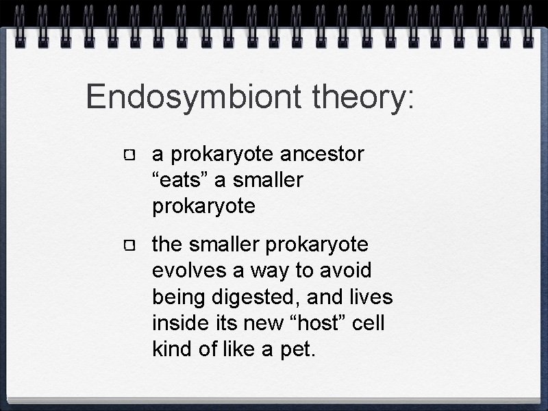 Endosymbiont theory: a prokaryote ancestor “eats” a smaller prokaryote the smaller prokaryote evolves a