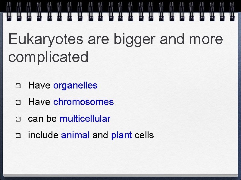 Eukaryotes are bigger and more complicated Have organelles Have chromosomes can be multicellular include