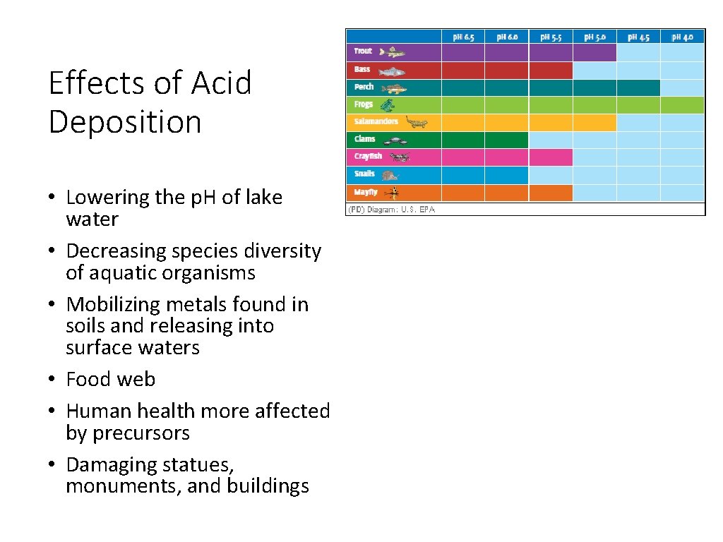 Effects of Acid Deposition • Lowering the p. H of lake water • Decreasing