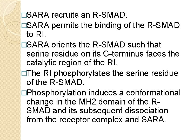 �SARA recruits an R-SMAD. �SARA permits the binding of the R-SMAD to RI. �SARA