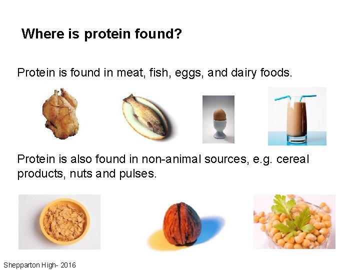 Where is protein found? Protein is found in meat, fish, eggs, and dairy foods.