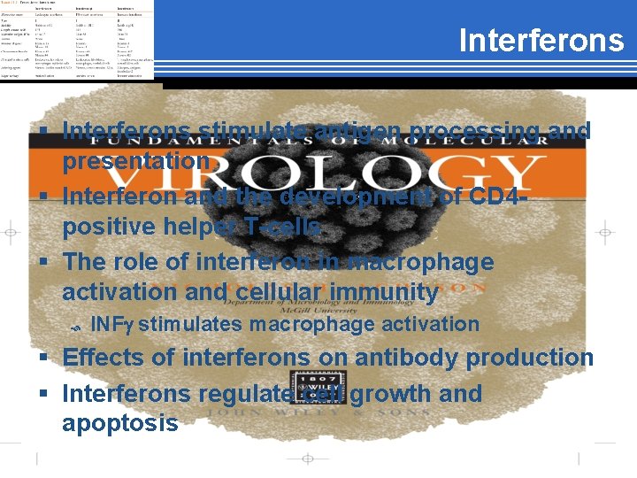 Interferons § Interferons stimulate antigen processing and presentation § Interferon and the development of