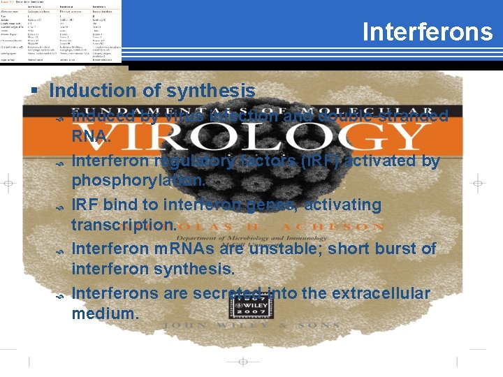 Interferons § Induction of synthesis Induced by virus infection and double-stranded RNA. Interferon regulatory