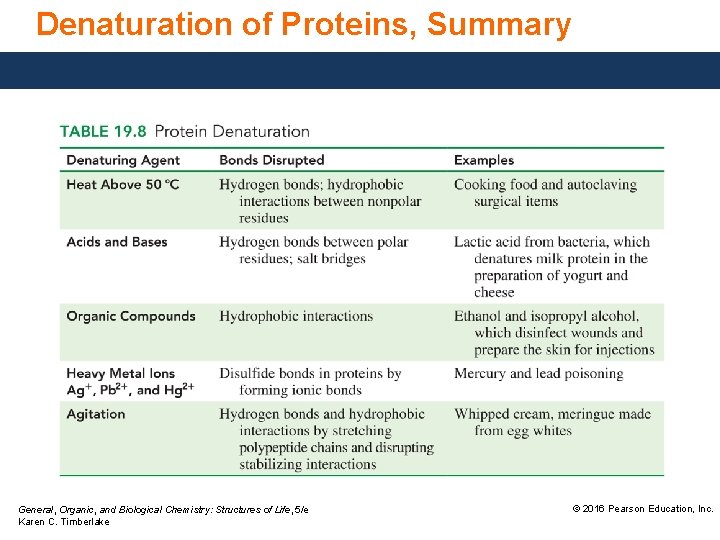 Denaturation of Proteins, Summary General, Organic, and Biological Chemistry: Structures of Life, 5/e Karen