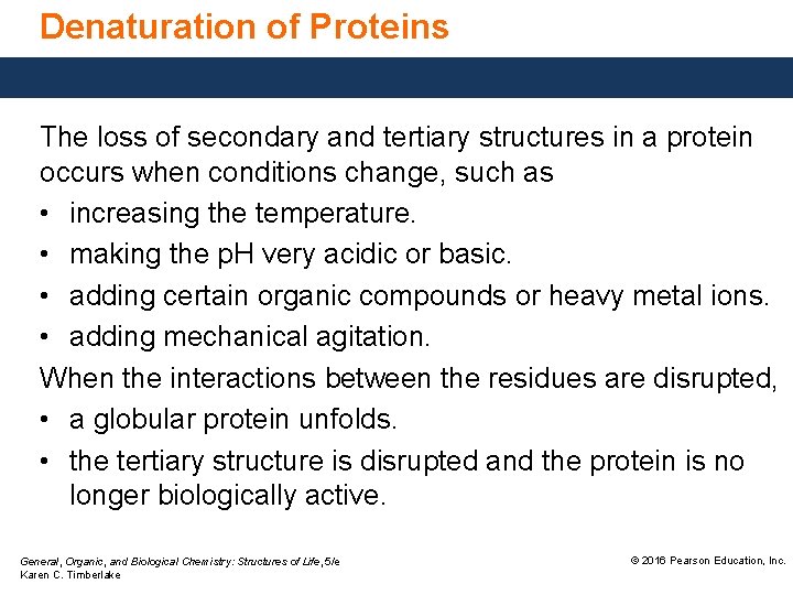 Denaturation of Proteins The loss of secondary and tertiary structures in a protein occurs