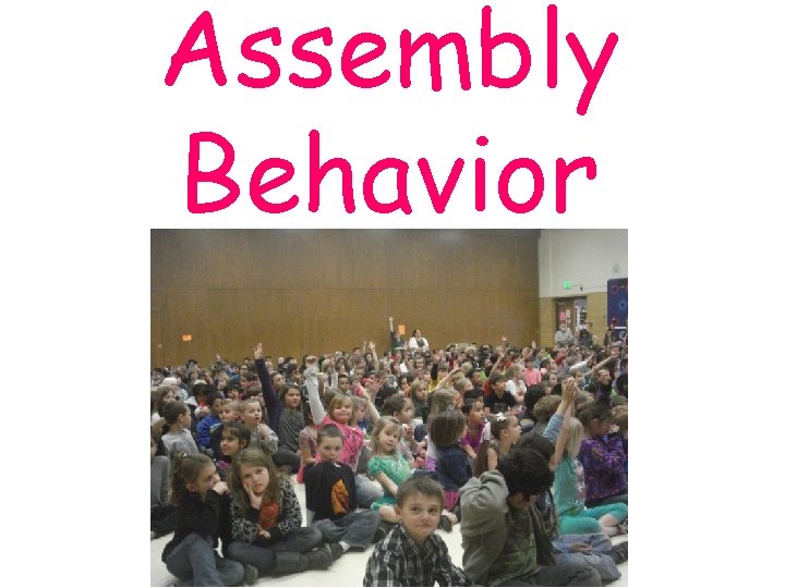 Assembly Behavior 