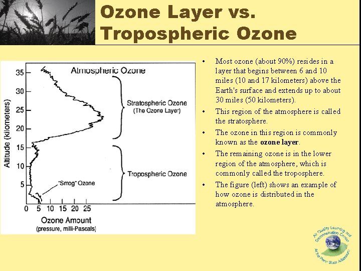 Ozone Layer vs. Tropospheric Ozone • • • Most ozone (about 90%) resides in Ozone Layer vs. Tropospheric Ozone • • • Most ozone (about 90%) resides in