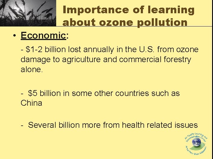 Importance of learning about ozone pollution • Economic: - $1 -2 billion lost annually Importance of learning about ozone pollution • Economic: - $1 -2 billion lost annually