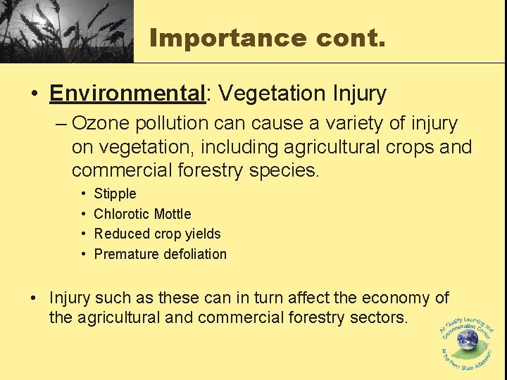 Importance cont. • Environmental: Vegetation Injury – Ozone pollution cause a variety of injury Importance cont. • Environmental: Vegetation Injury – Ozone pollution cause a variety of injury