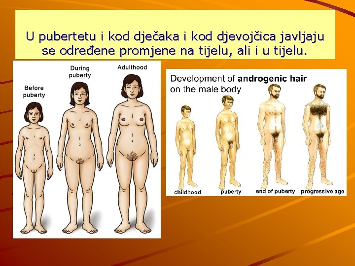 U pubertetu i kod dječaka i kod djevojčica javljaju se određene promjene na tijelu,