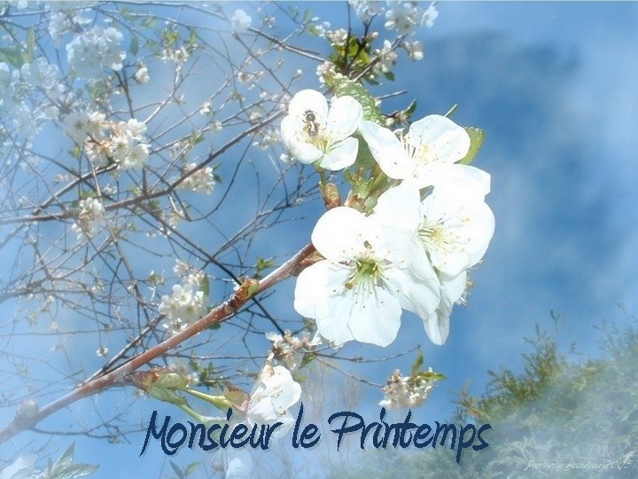 Monsieur le Printemps 