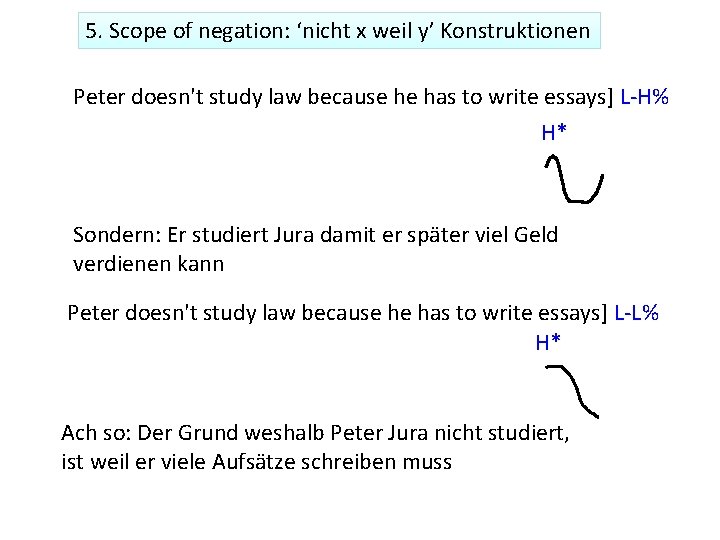 5. Scope of negation: ‘nicht x weil y’ Konstruktionen Peter doesn't study law because