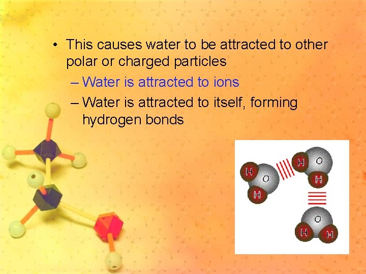  • This causes water to be attracted to other polar or charged particles