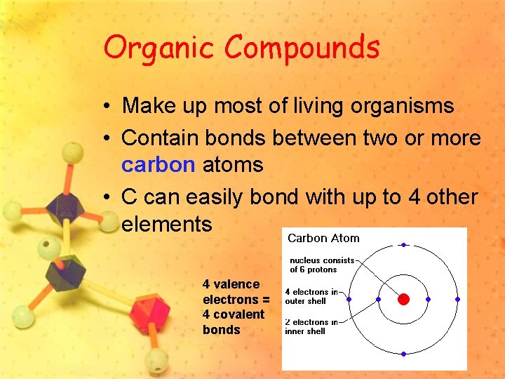 Organic Compounds • Make up most of living organisms • Contain bonds between two
