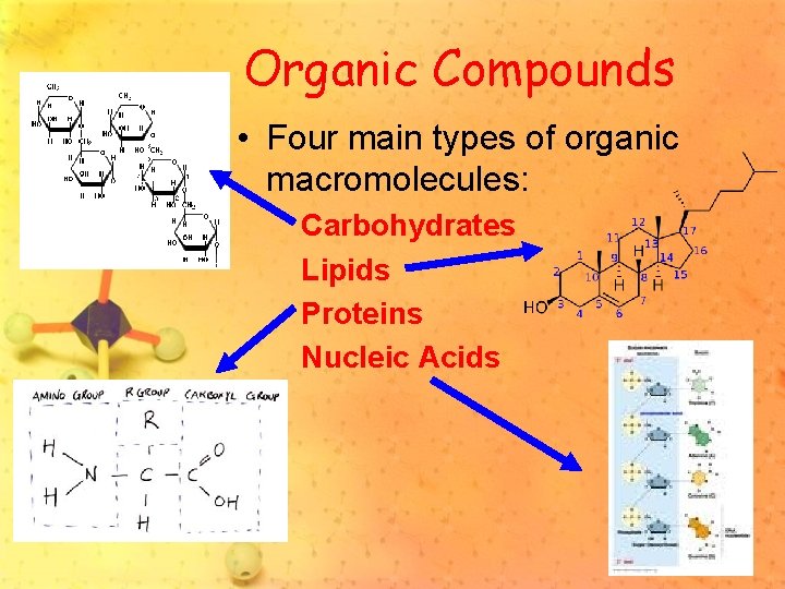 Organic Compounds • Four main types of organic macromolecules: Carbohydrates Lipids Proteins Nucleic Acids