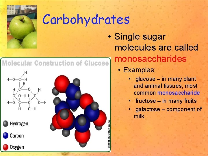 Carbohydrates • Single sugar molecules are called monosaccharides • Examples: • glucose – in