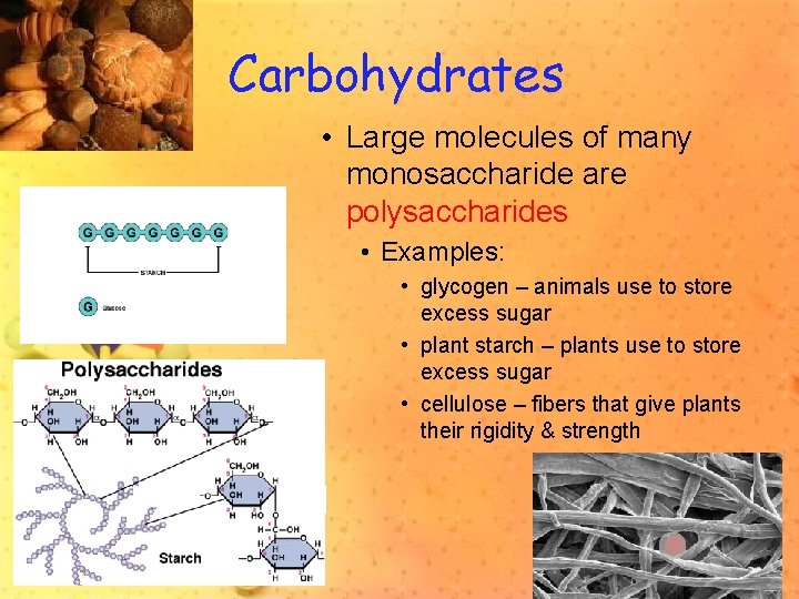 Carbohydrates • Large molecules of many monosaccharide are polysaccharides • Examples: • glycogen –