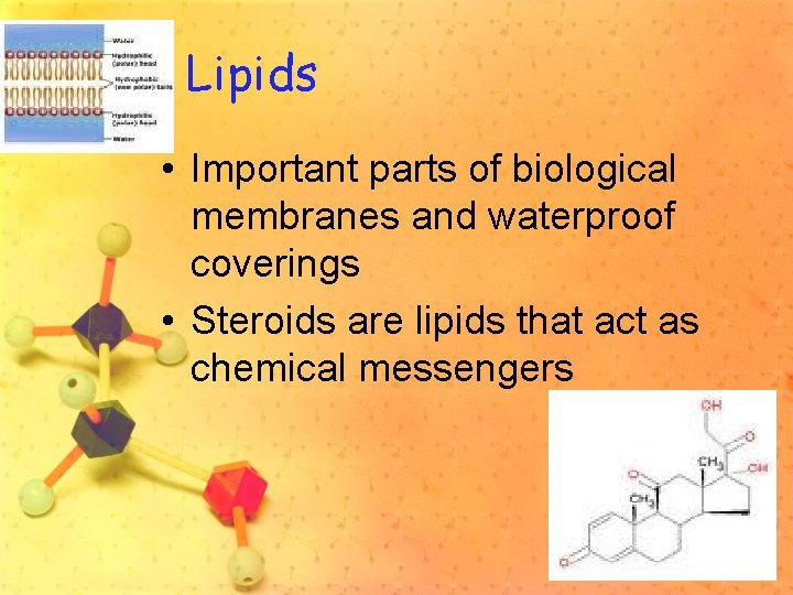 Lipids • Important parts of biological membranes and waterproof coverings • Steroids are lipids