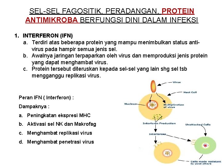 SEL-SEL FAGOSITIK, PERADANGAN, PROTEIN ANTIMIKROBA BERFUNGSI DINI DALAM INFEKSI 1. INTERFERON (IFN) a. Terdiri