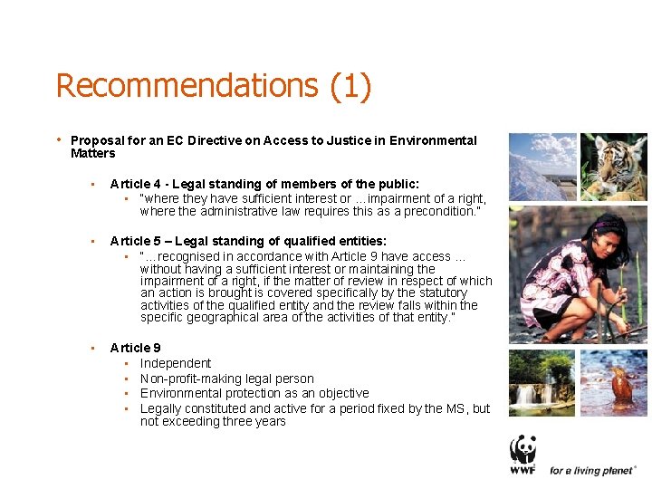 Recommendations (1) • Proposal for an EC Directive on Access to Justice in Environmental