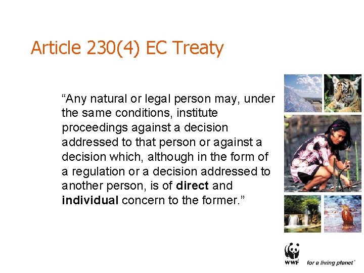 Article 230(4) EC Treaty “Any natural or legal person may, under the same conditions,