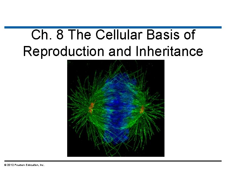Ch. 8 The Cellular Basis of Reproduction and Inheritance © 2012 Pearson Education, Inc.
