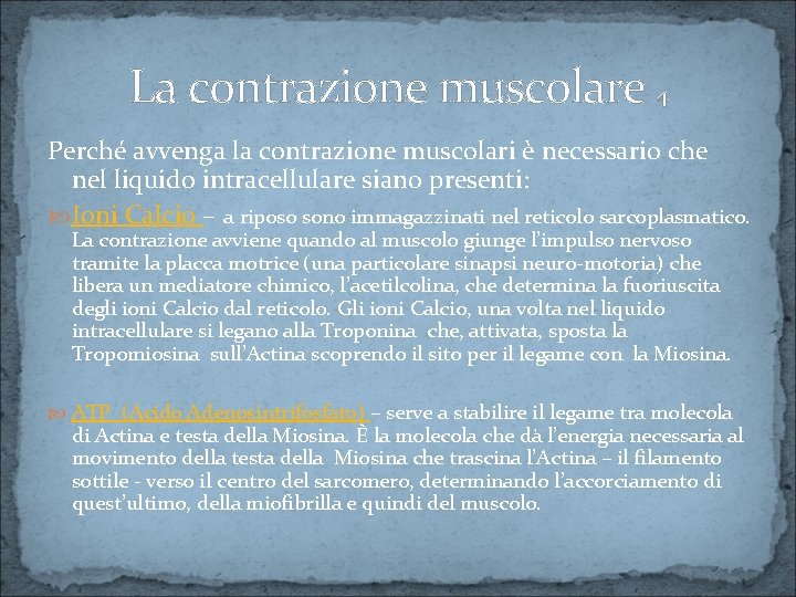 La contrazione muscolare 4 Perché avvenga la contrazione muscolari è necessario che nel liquido