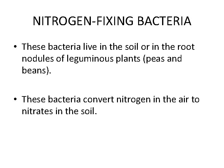 NITROGEN-FIXING BACTERIA • These bacteria live in the soil or in the root nodules