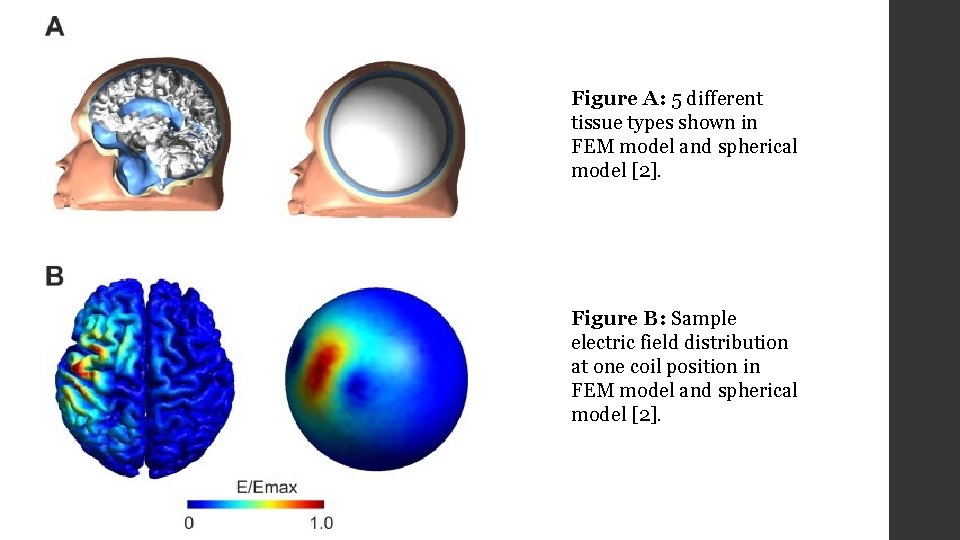 Figure A: 5 different tissue types shown in FEM model and spherical model [2].