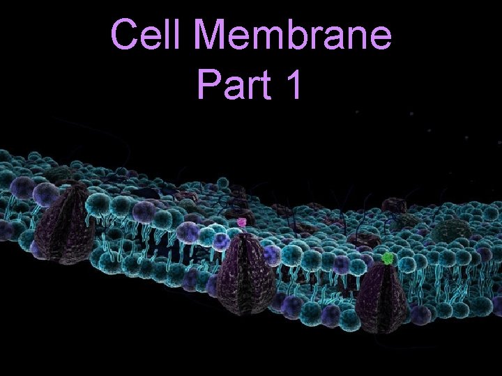 Cell Membrane Part 1 