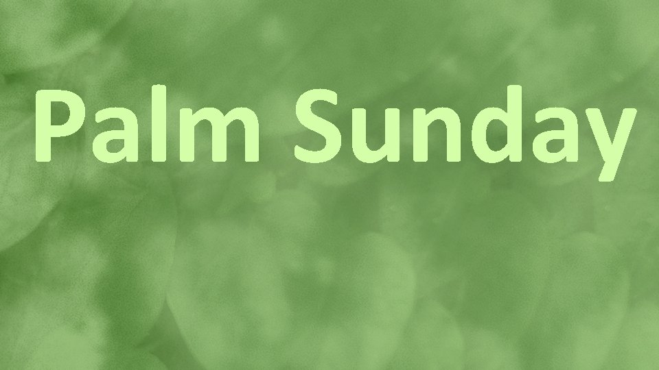 Palm Sunday 